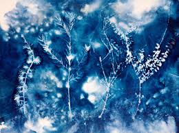 cyanotype